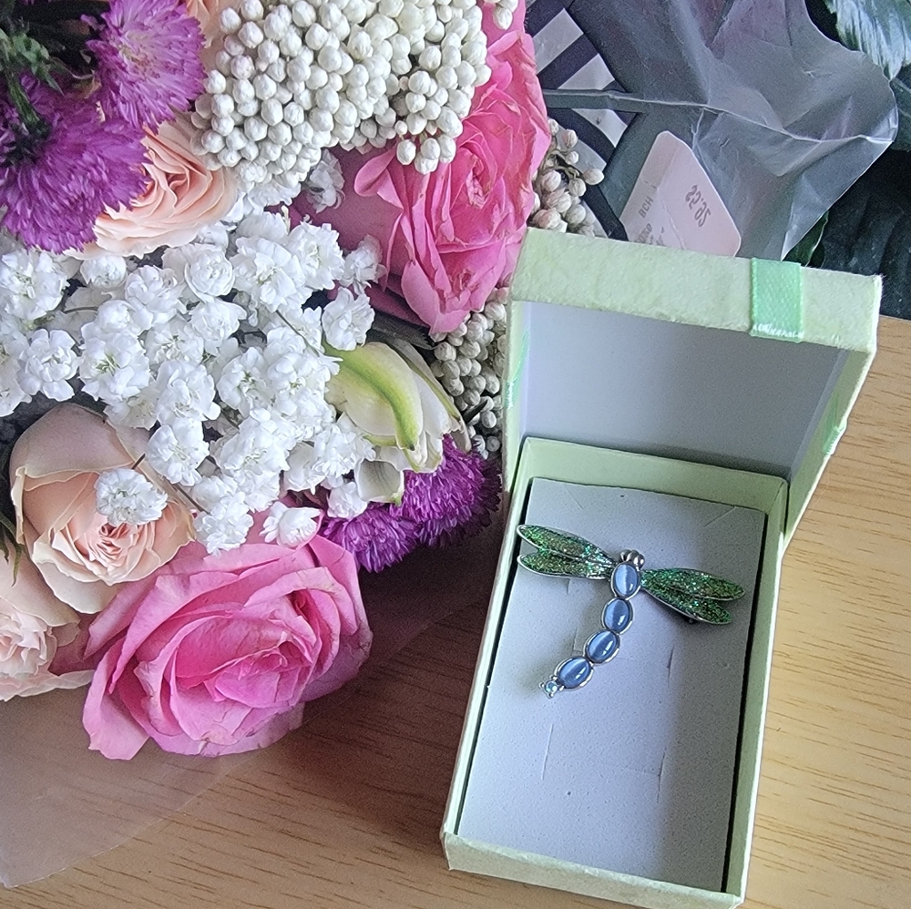 Elegant Blue and Green  Dragonfly Brooch